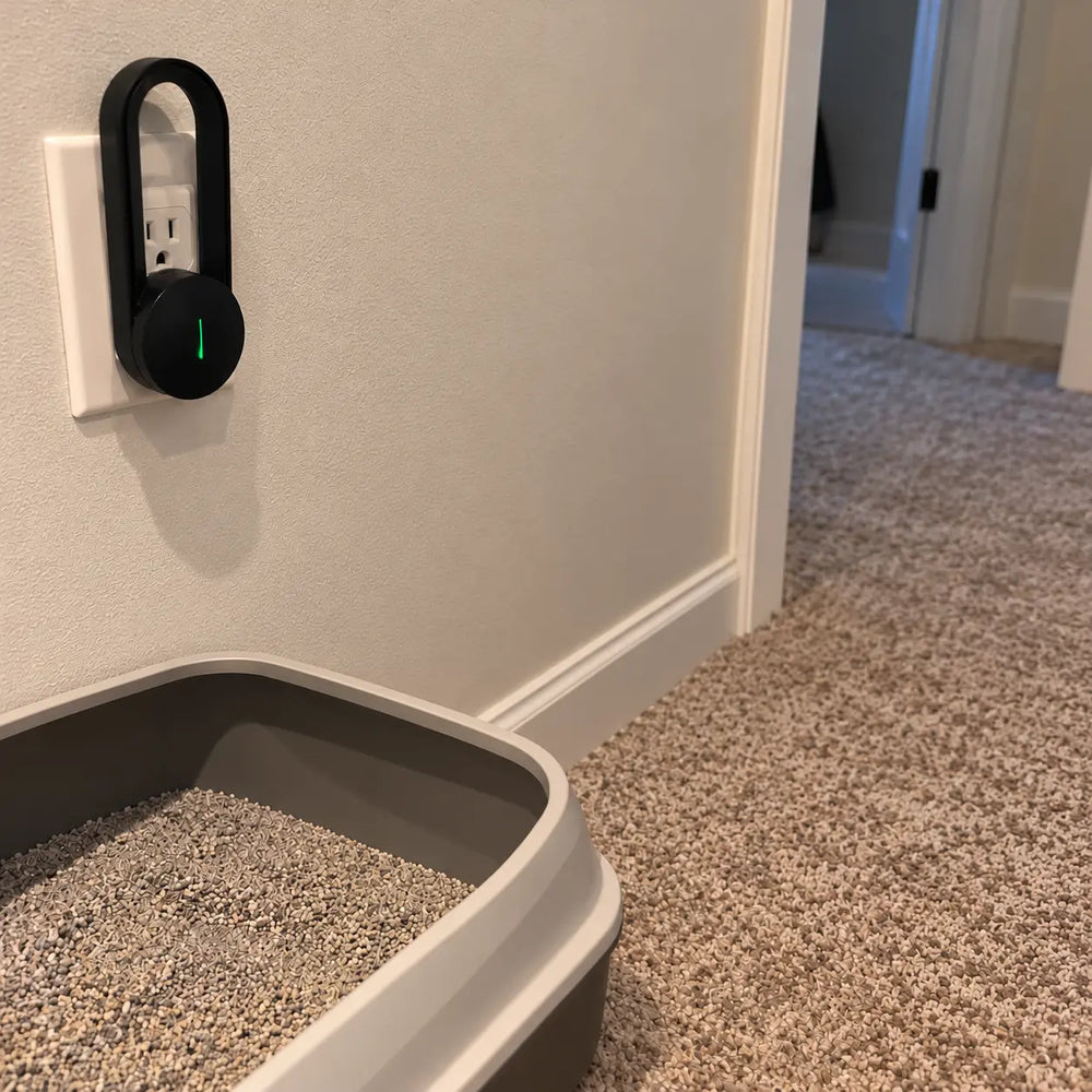 <h2>See what customers are saying about the PurrifyAir Pro</h2>